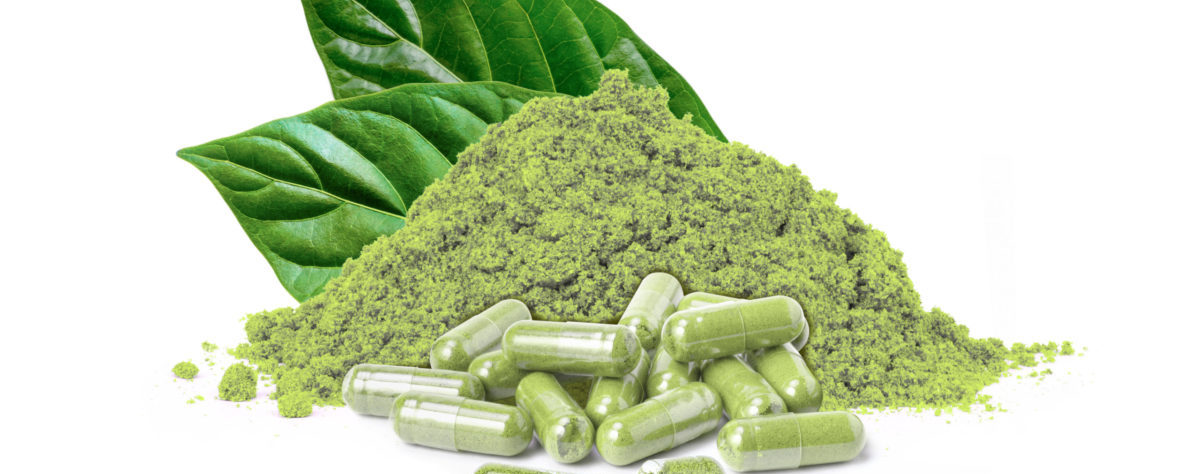 The Power of Kratom Unveiling Nature’s Best-Kept Secret