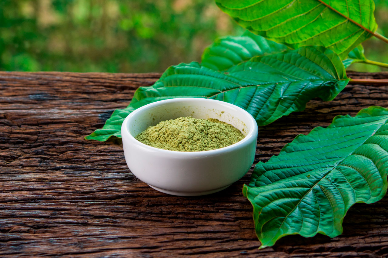 The Healing Leaf How Kratom is Revolutionizing Pain Management