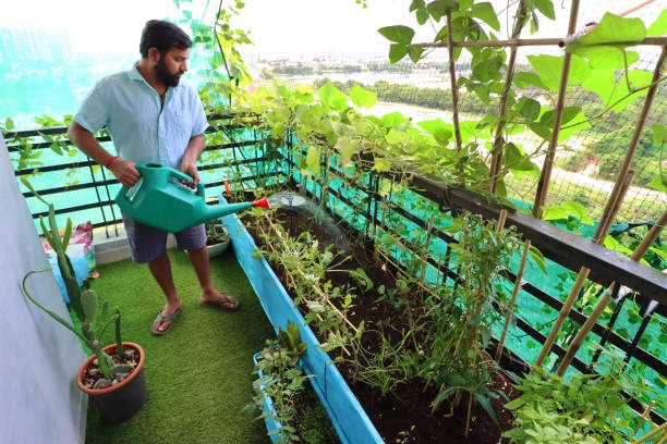 Why Apex Turf Is the Top Choice for Artificial Grass Installations